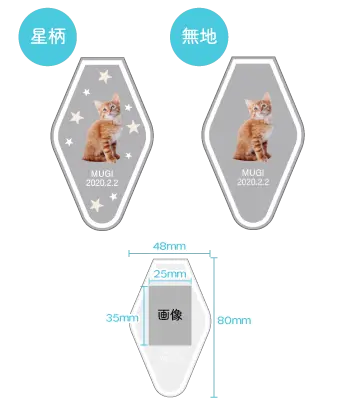 モーテル型詳細