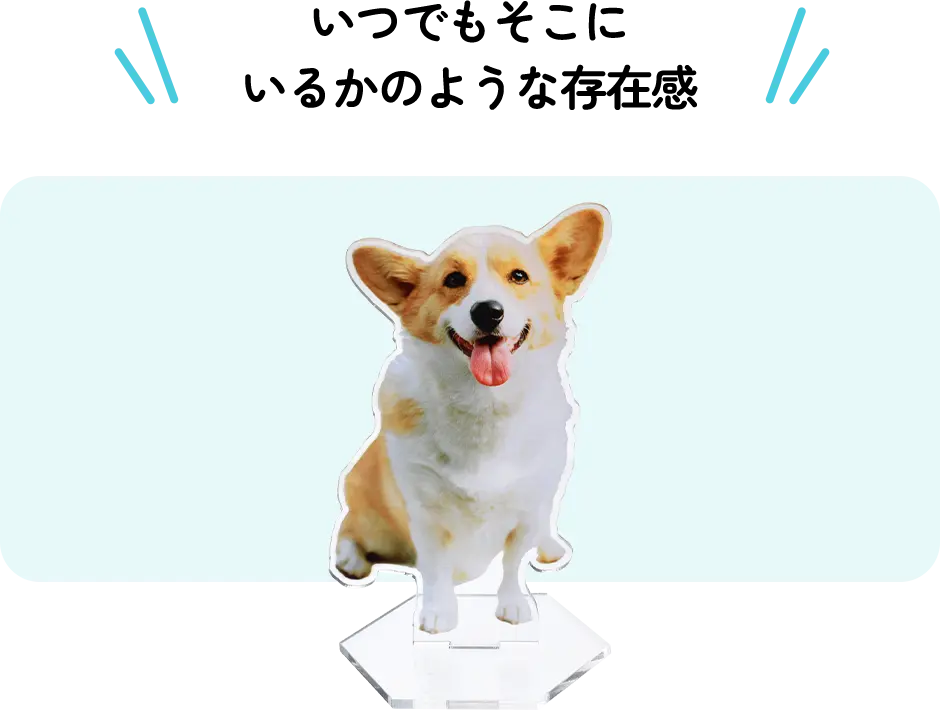 いつでもそこにいるかのような存在感