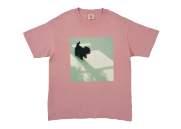 オーガニックコットンT