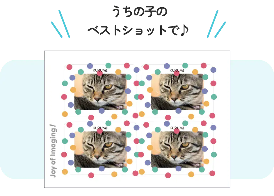 うちの子のベストショットで♪
