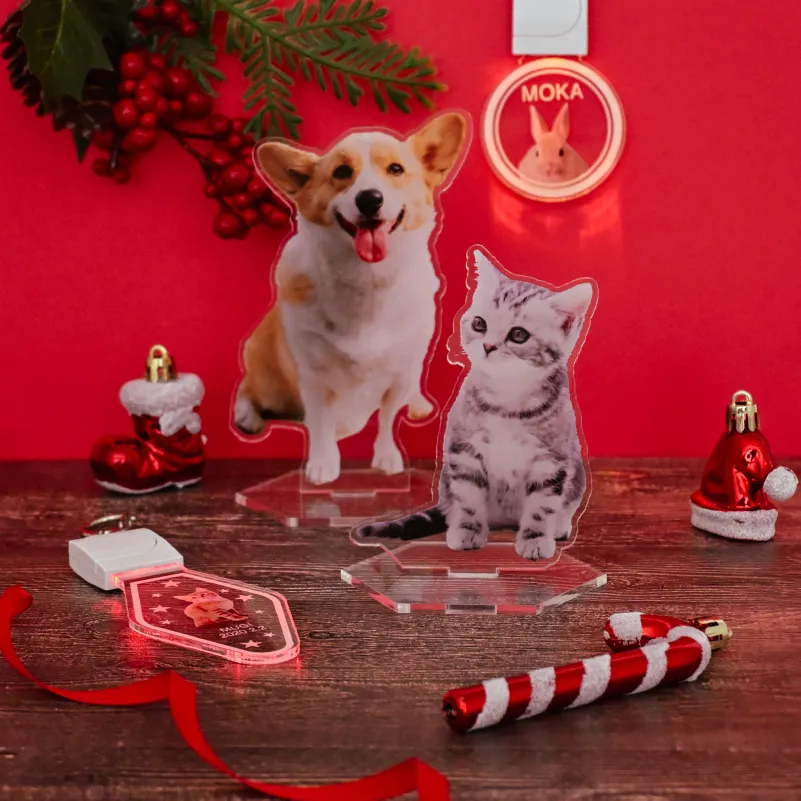 グッズ制作の一例