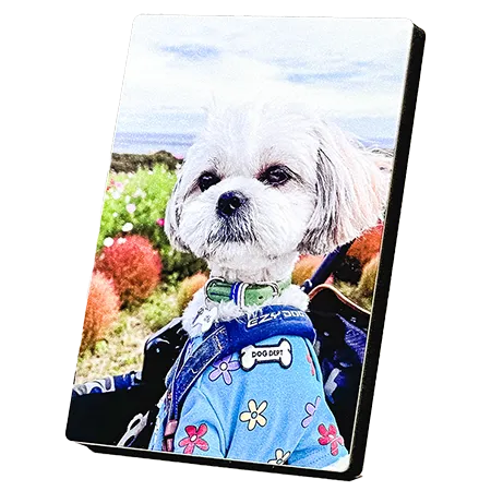 スタンドフォト