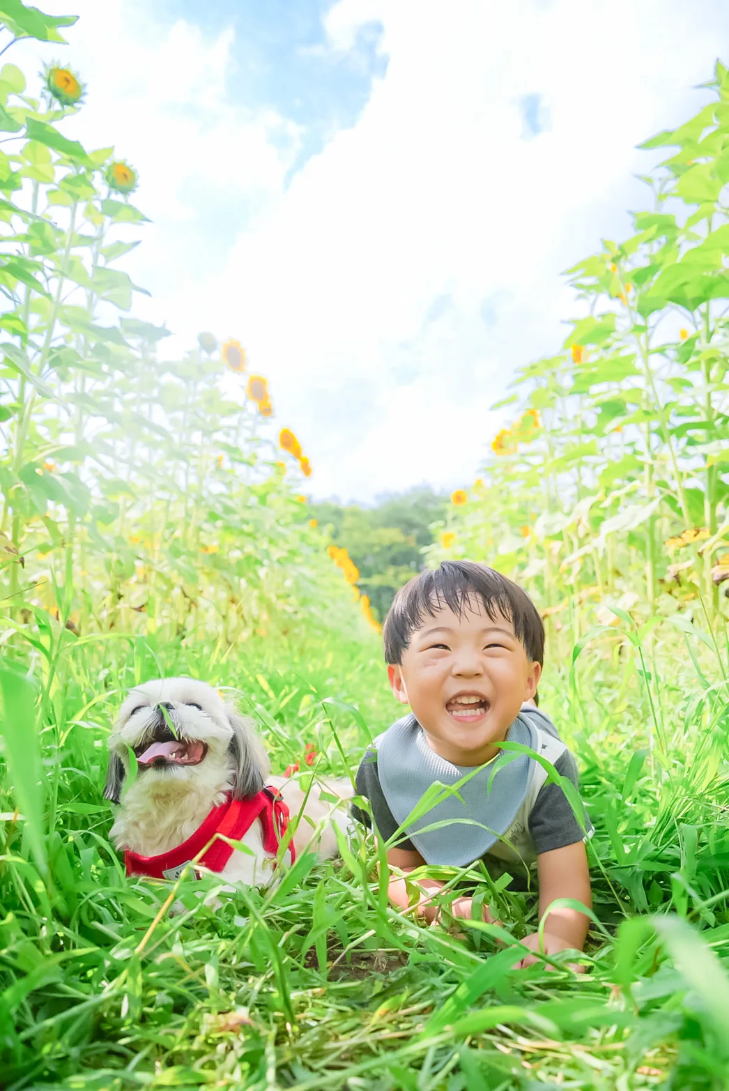 パレットプラザ賞『ぼくと相棒の夏休み』